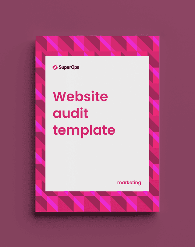 website audit.png